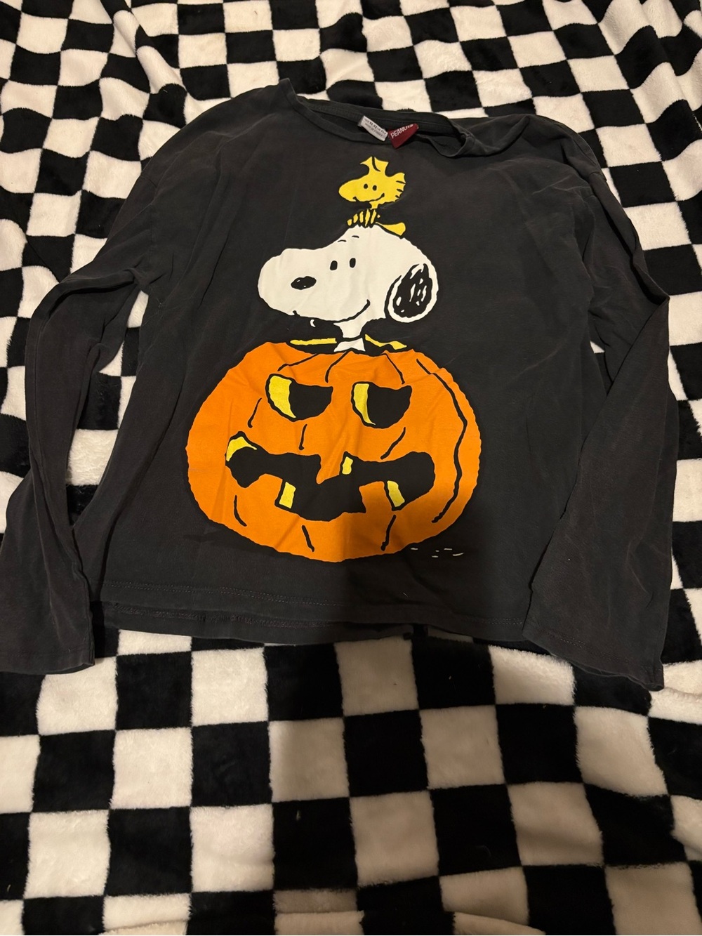 Boys 11/12 peanuts snoopy Halloween long sleeve shirt